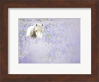 Horse in Lavender II Fine Art Print