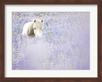 Horse in Lavender II Fine Art Print