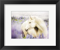 Horse in Lavender III Fine Art Print