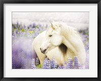 Horse in Lavender III Fine Art Print