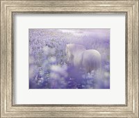 Horse in Lavender IV Fine Art Print