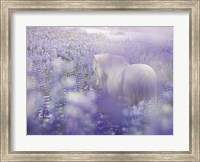 Horse in Lavender IV Fine Art Print