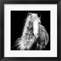 Black and White Horse Portrait I Fine Art Print