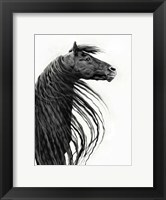 Black and White Horse Portrait II Fine Art Print