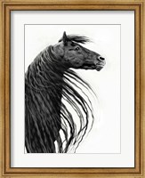 Black and White Horse Portrait II Fine Art Print