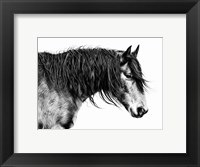 Black and White Horse Portrait III Fine Art Print