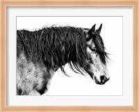 Black and White Horse Portrait III Fine Art Print