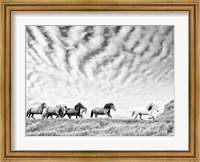Horse Run III Fine Art Print