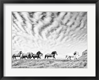 Horse Run III Fine Art Print