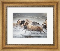 Horse Run IV Fine Art Print