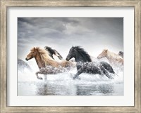 Horse Run V Fine Art Print