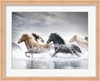 Horse Run V Fine Art Print