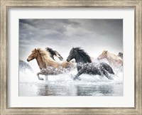 Horse Run V Fine Art Print