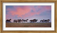 Horse Run VIII Fine Art Print
