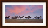 Horse Run VIII Fine Art Print