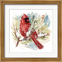 The Cardinal I Fine Art Print