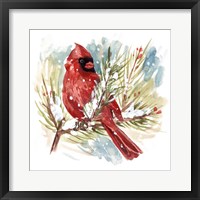 The Cardinal I Fine Art Print
