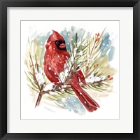 The Cardinal I Framed Print