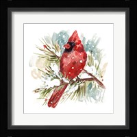 The Cardinal II Framed Print