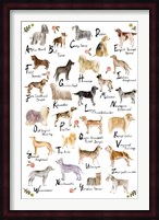 Dog Alphabet Fine Art Print
