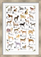 Dog Alphabet Fine Art Print