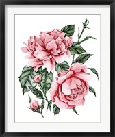 Roses are Red II Fine Art Print