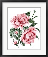 Roses are Red II Framed Print