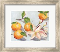 Tangerine Blossoms I Fine Art Print