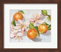 Tangerine Blossoms II Fine Art Print