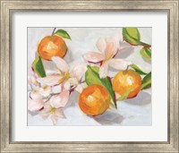 Tangerine Blossoms II Fine Art Print