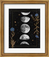 Night Moon II Fine Art Print