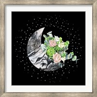 Luna I Fine Art Print