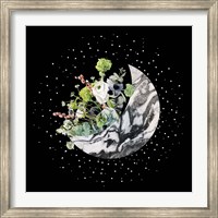 Luna II Fine Art Print