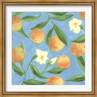 Sweet Tangerine I Fine Art Print