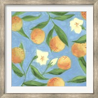 Sweet Tangerine I Fine Art Print