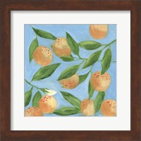 Sweet Tangerine II Fine Art Print