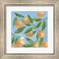 Sweet Tangerine II Fine Art Print