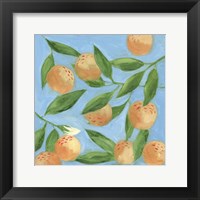 Sweet Tangerine II Framed Print