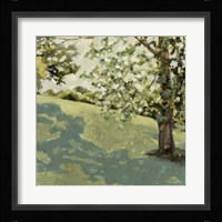 Sun Patch II Fine Art Print