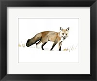 Winter Fox I Fine Art Print