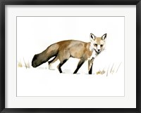 Winter Fox I Fine Art Print