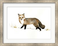 Winter Fox II Fine Art Print