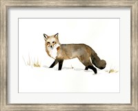 Winter Fox II Fine Art Print