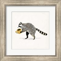 Rascally Raccoon III Fine Art Print