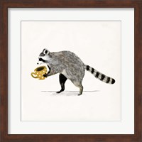 Rascally Raccoon III Fine Art Print