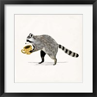 Rascally Raccoon III Fine Art Print