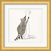 Rascally Raccoon IV Fine Art Print