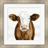 Cow Gaze II Fine Art Print