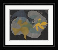 Dove Composition III Framed Print