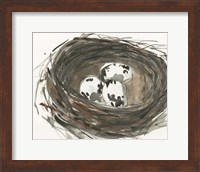 Nesting Eggs I Fine Art Print